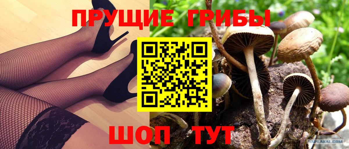 Псилоцибиновые грибы прущие грибы Энгельс