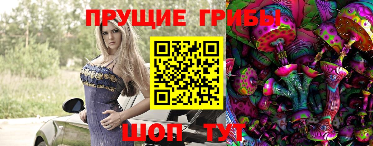 Энгельс  Галлюциногенные грибы Cubensis  где купить   Вход с VPN 